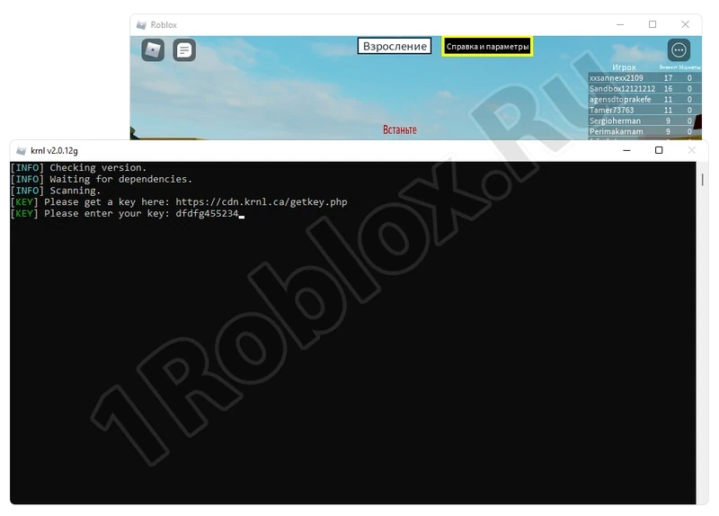 Ввод ключа при работе с KRNL Roblox