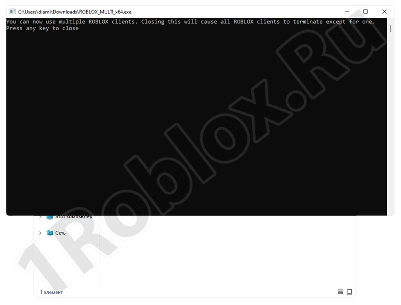Приложение Roblox Multi в работе