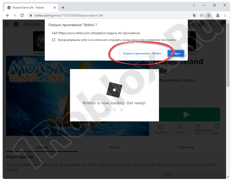 Подтверждение запуска Роблокс