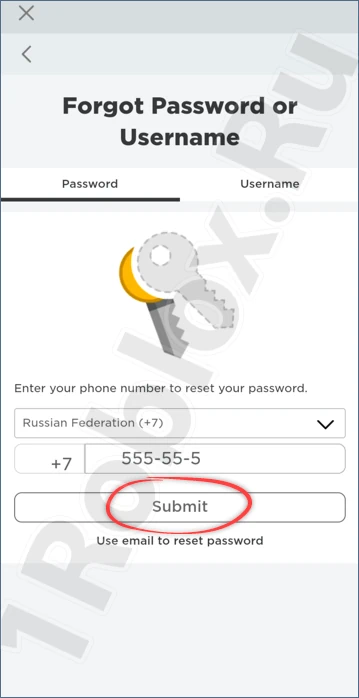 Ввод номера телефона для восстановления пароля Роблокс